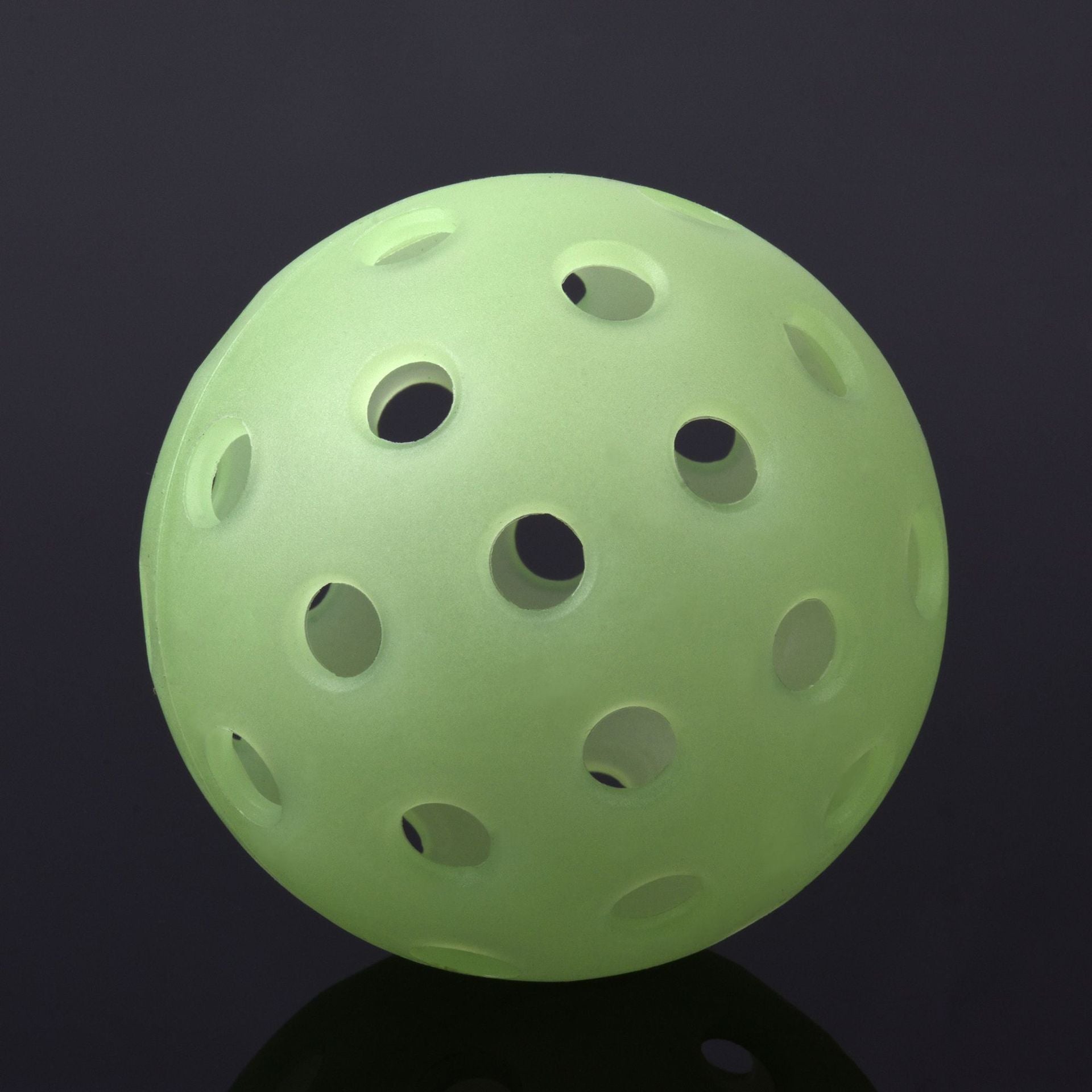 Premium Pickleball Paddle | Lightweight Indoor & Outdoor Sports Paddle